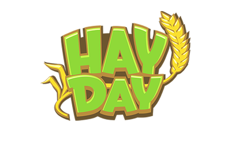 هاي داي