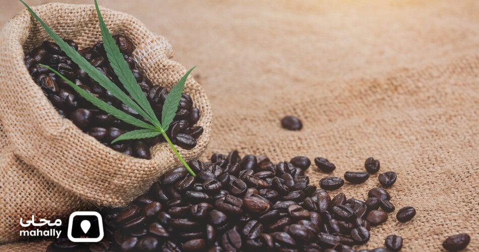 أفضل منتجات القهوة السعودية والعالمية في محلي: نكهات عصرية بروح التراث السعودي