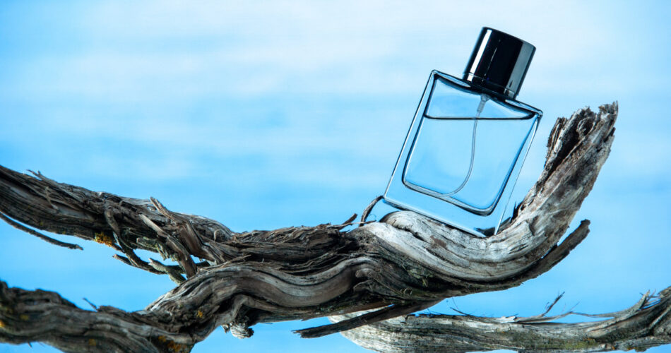 أفضل 4 عروض عطور من محلي لشهر يناير